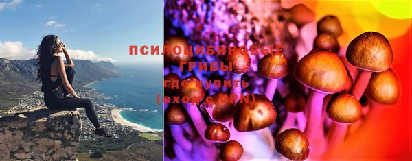 гашик Алексеевка