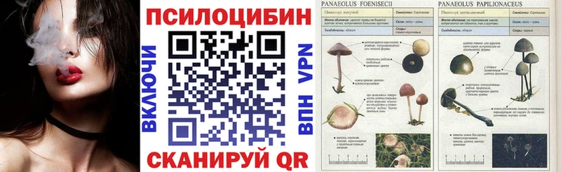 Галлюциногенные грибы ЛСД  Берёзовский 